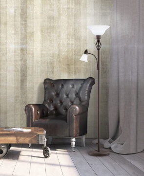 Immagine di Piantana Rustica Ruggine Con Luce Da Lettura Trio Lighting