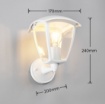 Immagine di Applique Esterno IP44 Lanterna Bianca E27 Venta Trio Lighting