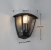 Immagine di Applique Da Esterno Nero Con Vetro Venta IP44 Trio Lighting