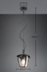 Immagine di Lampada A Sospensione Esterna Lanterna Nera Venta IP44 Trio Lighting