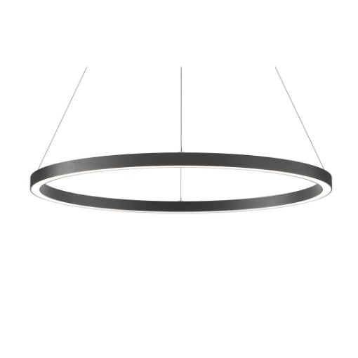 Immagine di Grande Lampadario Anello 155 cm Nero Led 162w DALI Dual Zero Beneito