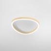 Immagine di Plafoniera Colorata Ovale Biemissione Led 46w CCT Ecaris Gea
