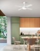 Immagine di Ventilatore con Luce da Soffitto 4 Pale Legno Bicolore 23mq Orione Perenz