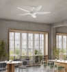 Immagine di Ventilatore Moderno 5 Pale da Soffitto >20mq Wind Bianco Perenz
