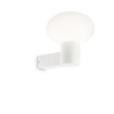 Immagine di Ideal Lux Clio map1