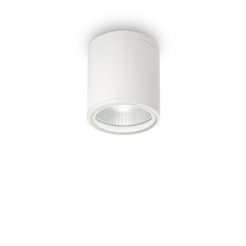 Immagine di GUN PL1 BIANCO