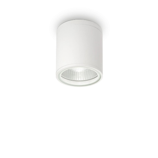Immagine di GUN PL1 BIANCO