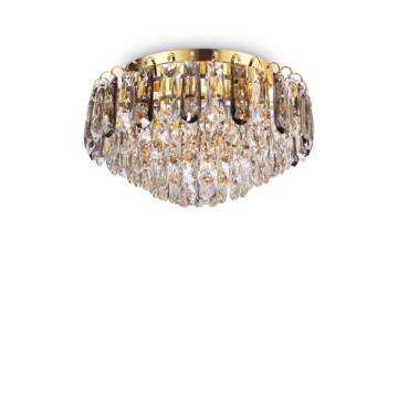 Immagine di MAGNOLIA PL7