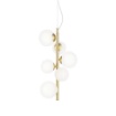 Immagine di PERLAGE SP6 BIANCO