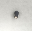 Immagine di Faretto da Parete Esterna Cilindro Orientabile Antracite Oslo Top Light IP65