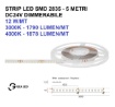 Immagine di Strip Led 24V 10mm IP66 5 Metri 12w/mt Dimmerabile Gea per Esterni